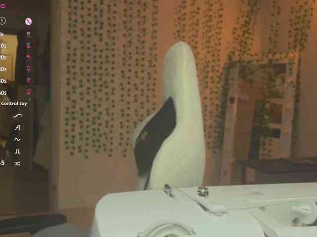 AnnaSebastian webcam