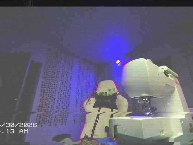 AnnaSebastian webcam