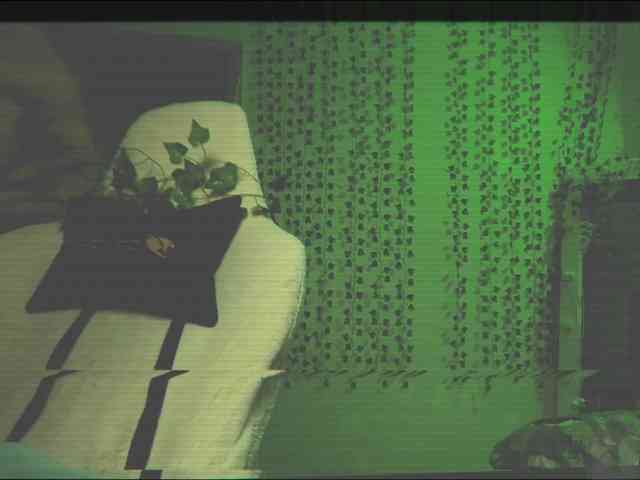 AnnaSebastian webcam