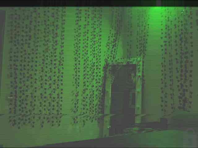 AnnaSebastian webcam