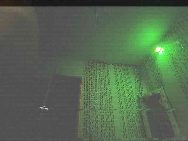 AnnaSebastian webcam