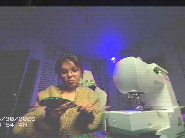 AnnaSebastian webcam