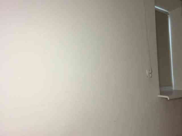 Modelo: HanaHaeussler