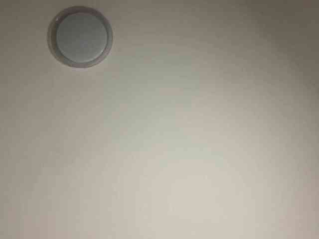HanaHaeussler webcam