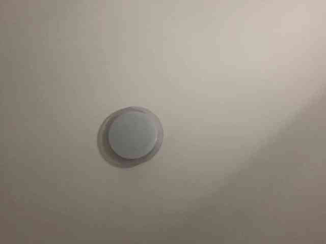 HanaHaeussler webcam