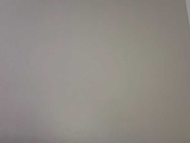 Sakura-Honey webcam