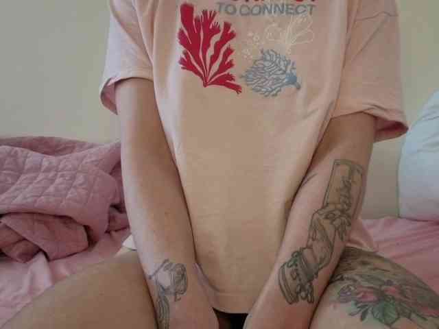 Sakura-Honey webcam