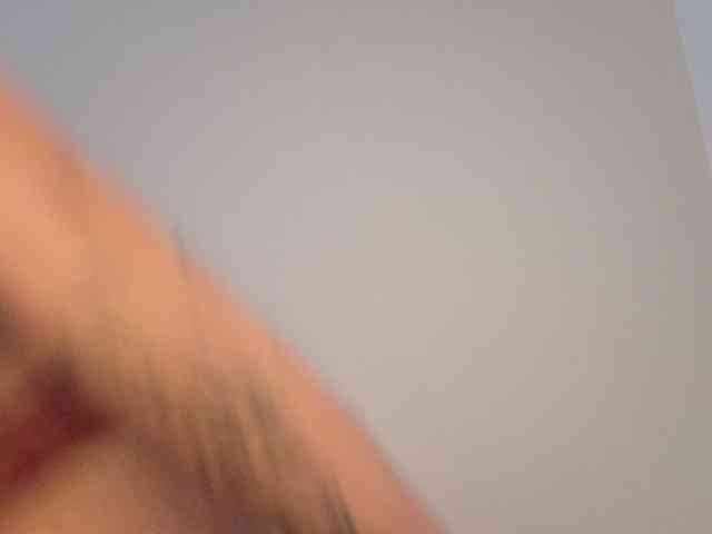Sakura-Honey webcam