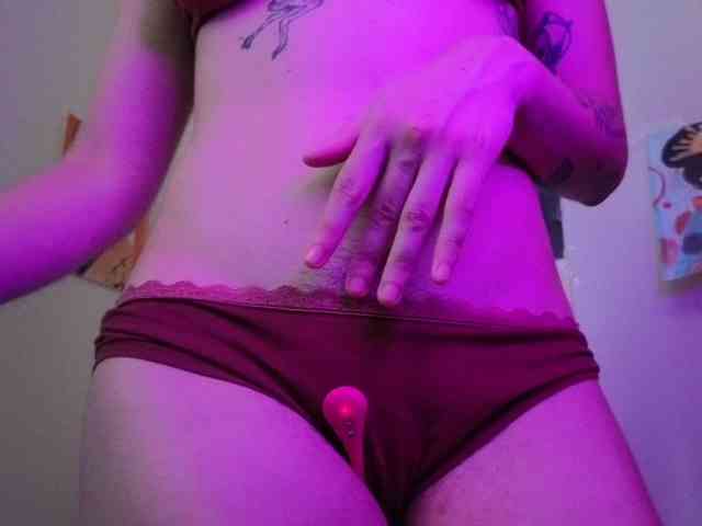 Sakura-Honey webcam