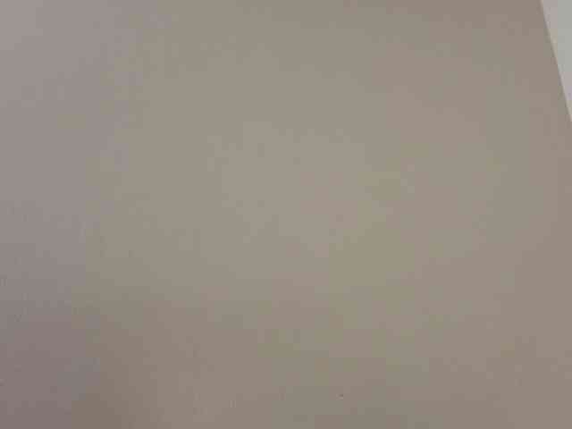 Sakura-Honey webcam