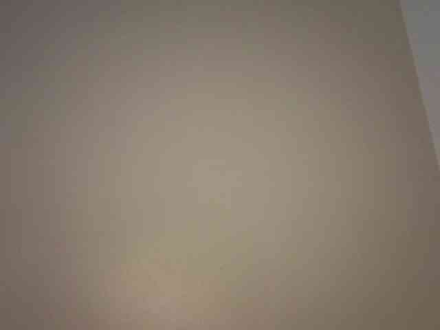 Sakura-Honey webcam