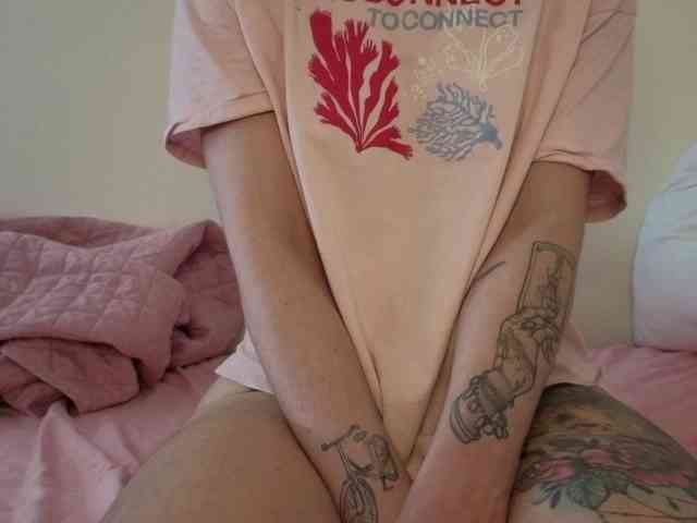 Sakura-Honey webcam