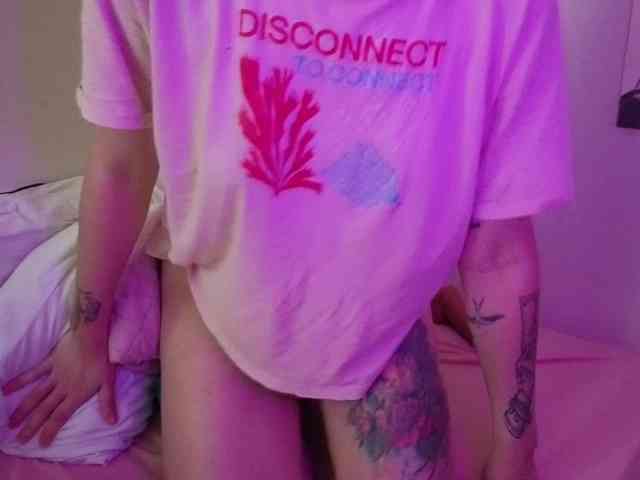 Sakura-Honey webcam