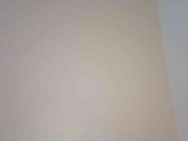 Sakura-Honey webcam