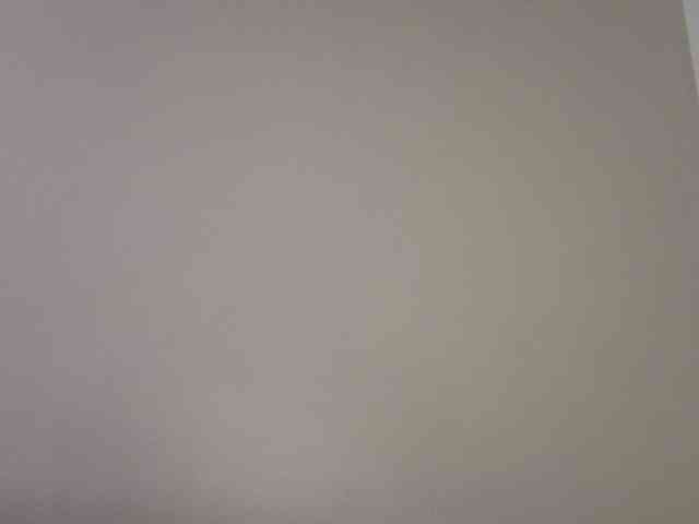 Sakura-Honey webcam
