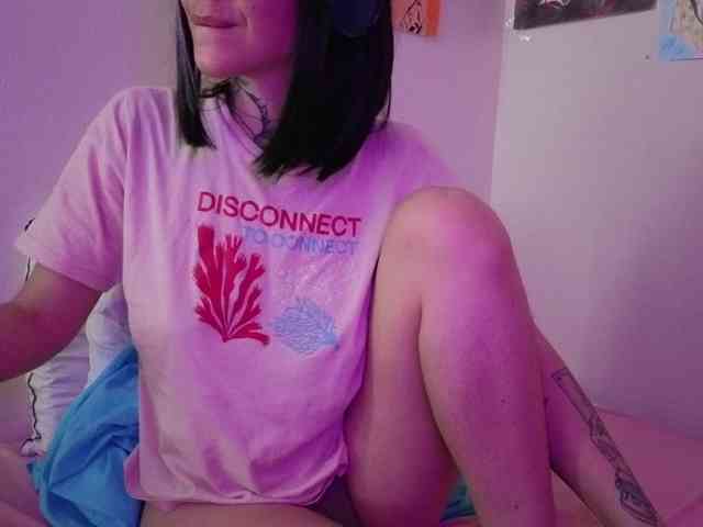 Sakura-Honey webcam