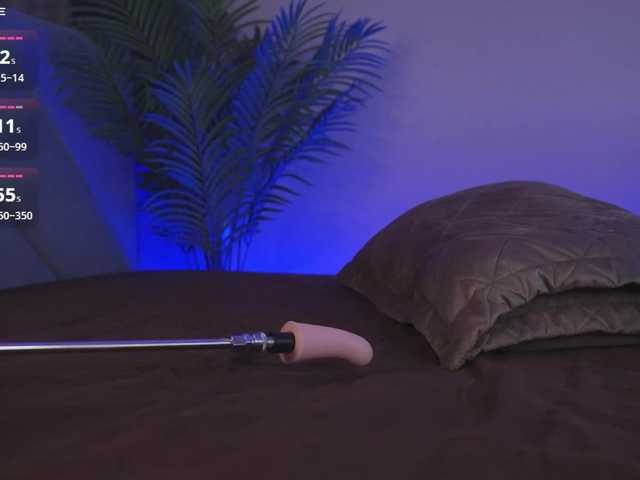 Karollovea webcam