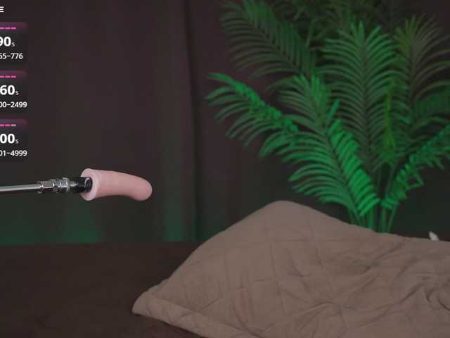 Karollovea live cam preview