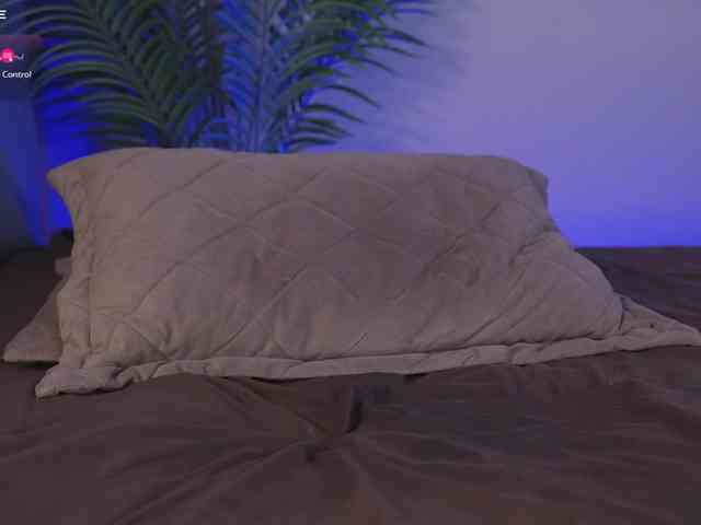 Karollovea webcam