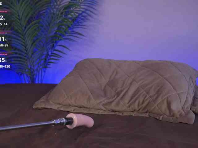 Karollovea webcam