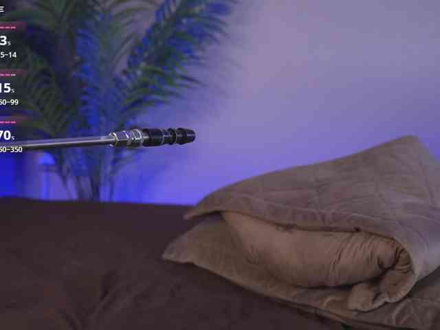 Karollovea webcam