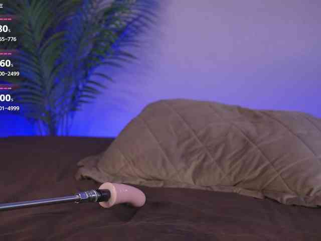 Karollovea webcam