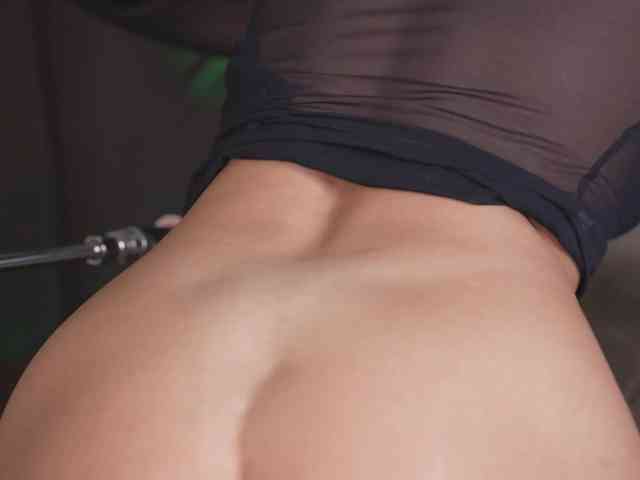 Karollovea