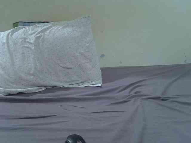 Sweevanillllah webcam