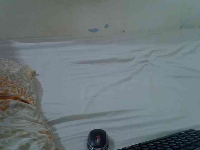 Sweevanillllah webcam