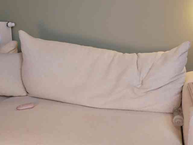 minimolly webcam