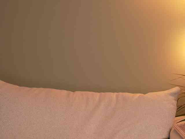 minimolly webcam