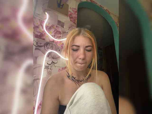 Chanterelle-Fox webcam