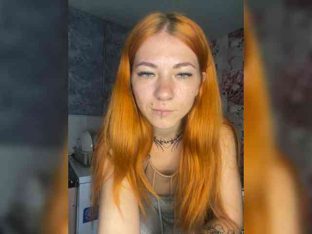 Chanterelle-Fox webcam