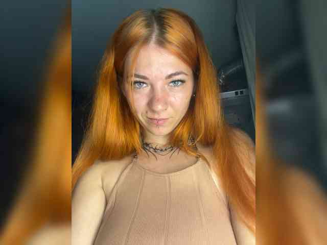 Chanterelle-Fox webcam