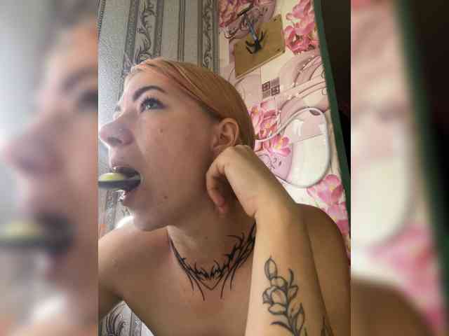 Chanterelle-Fox webcam