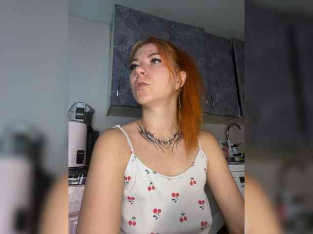 Chanterelle-Fox webcam