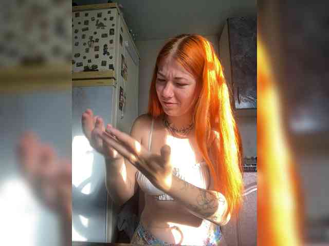 Chanterelle-Fox webcam