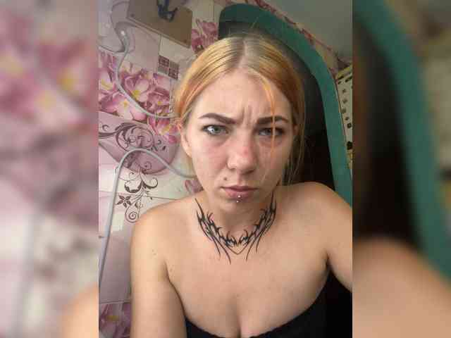 Chanterelle-Fox webcam