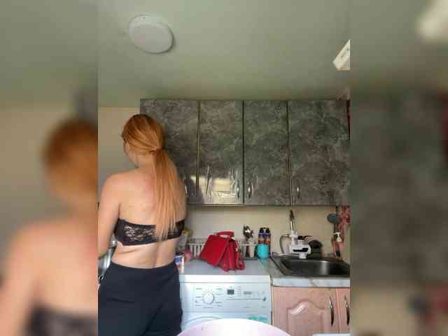 Chanterelle-Fox webcam