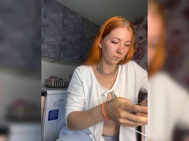 Chanterelle-Fox webcam