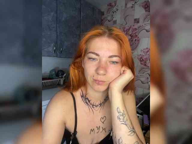 Chanterelle-Fox webcam