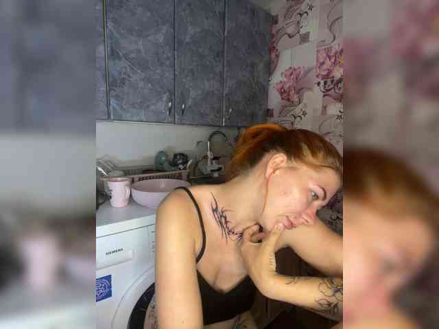 Chanterelle-Fox webcam