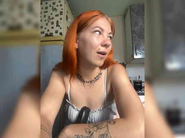 Chanterelle-Fox webcam