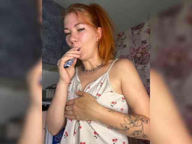 Chanterelle-Fox webcam