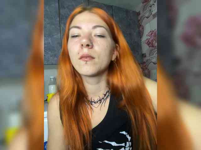 Chanterelle-Fox webcam