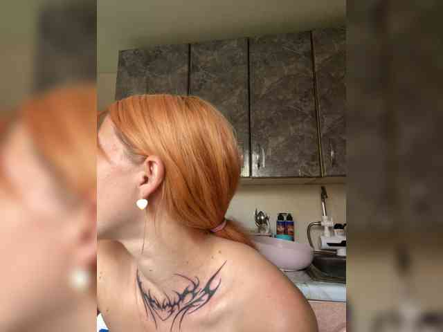 Chanterelle-Fox webcam