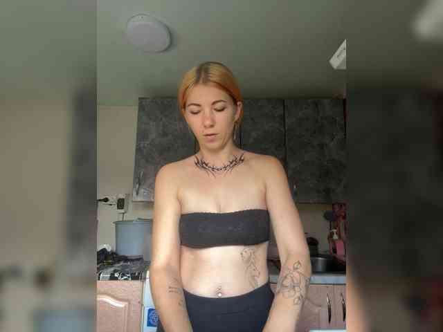 Chanterelle-Fox webcam