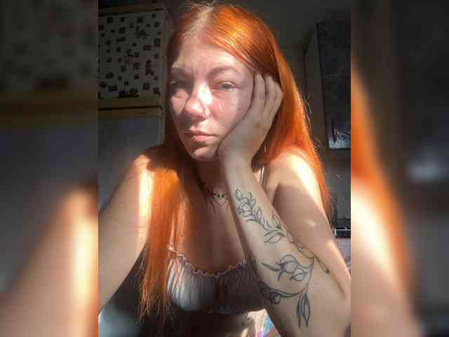 Chanterelle-Fox webcam