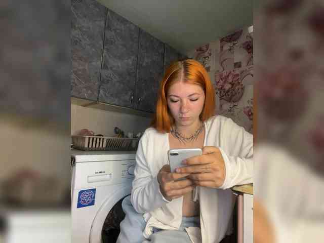 Chanterelle-Fox webcam