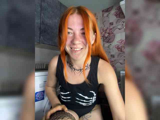 Chanterelle-Fox webcam